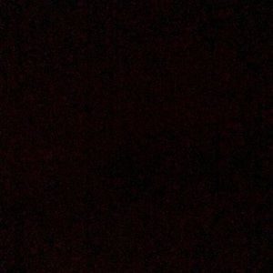 Meet your Posher, Kalyn